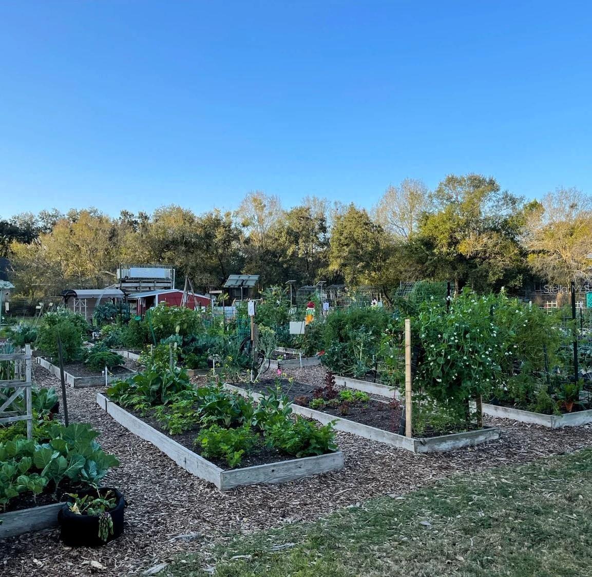 CARROLLWOOD VILLAGE PH III - Residential