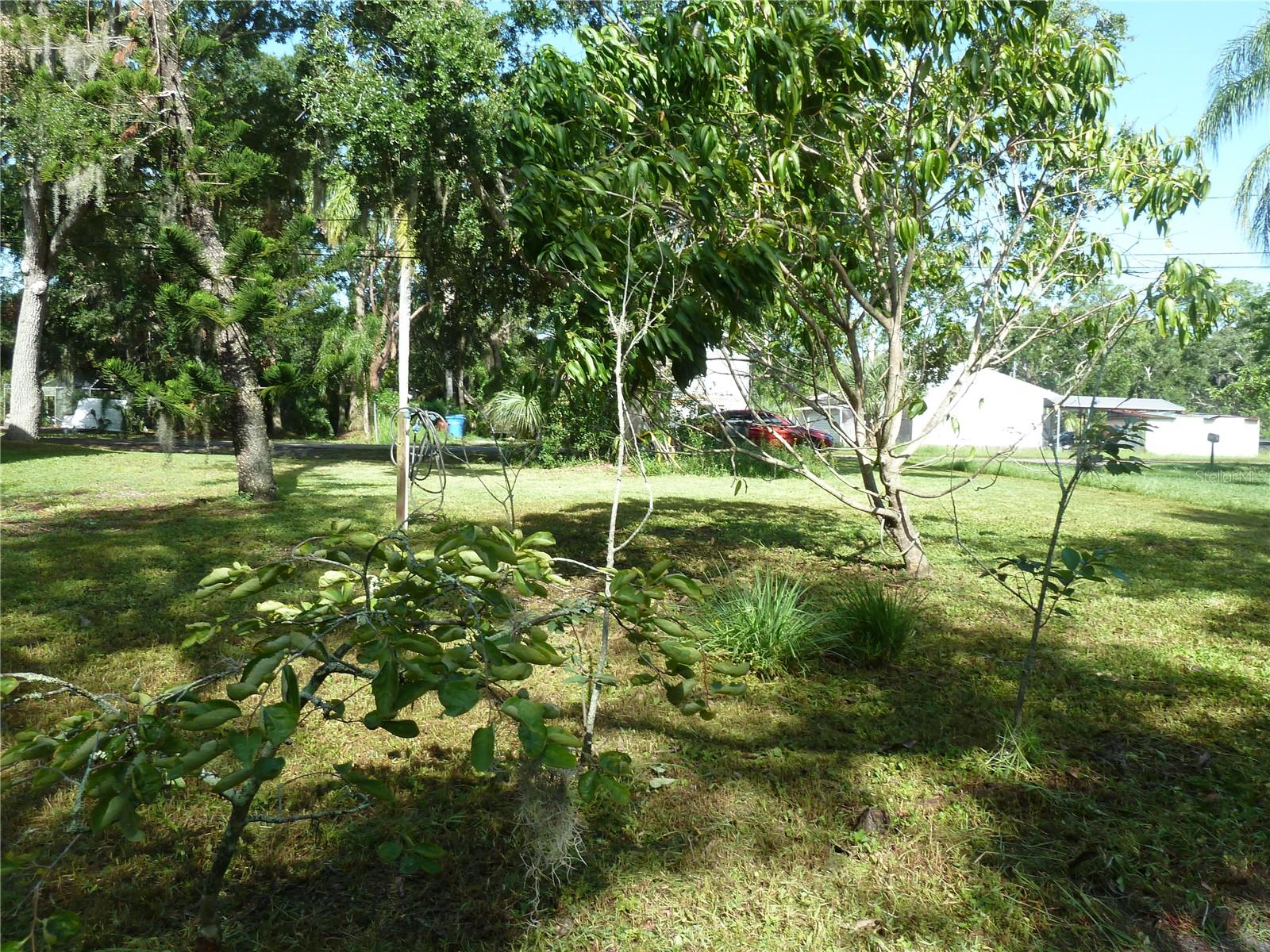 REOLDS FRM PLT 1 19 20 29 - Land