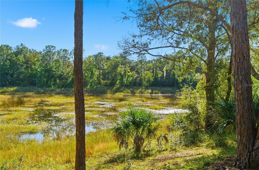 Photo of 8132 Clipper Court, Spring Hill, FL 34606 (MLS # W7880225)