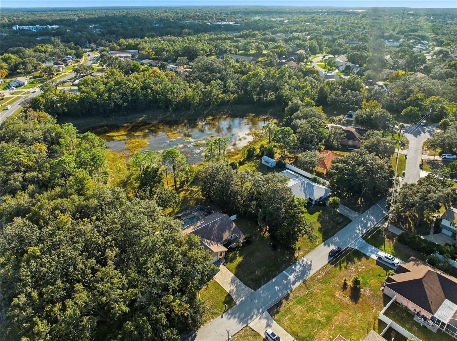 SPRING HILL - Residential