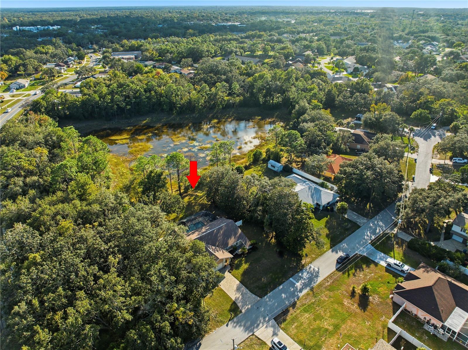 SPRING HILL - Residential