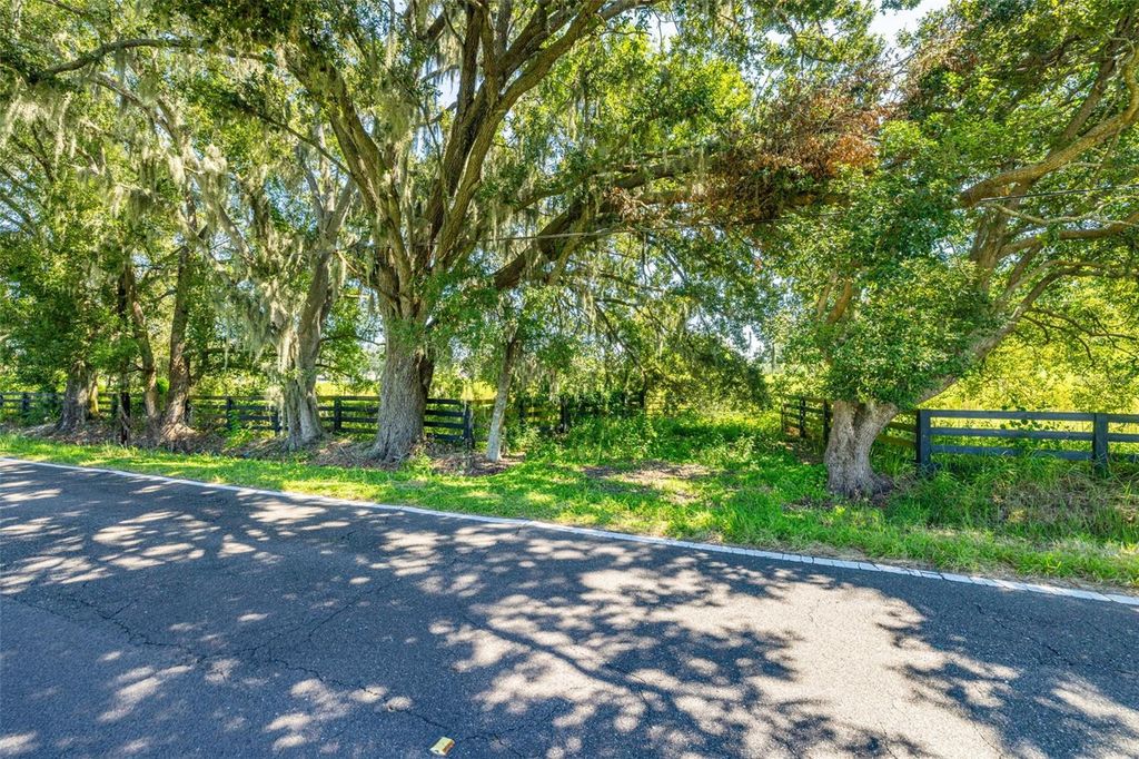 Photo of 13410 Walden Sheffield Road, Dover, FL 33527 (MLS # TB8428879)