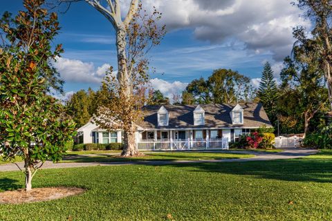 A home in MOUNT DORA