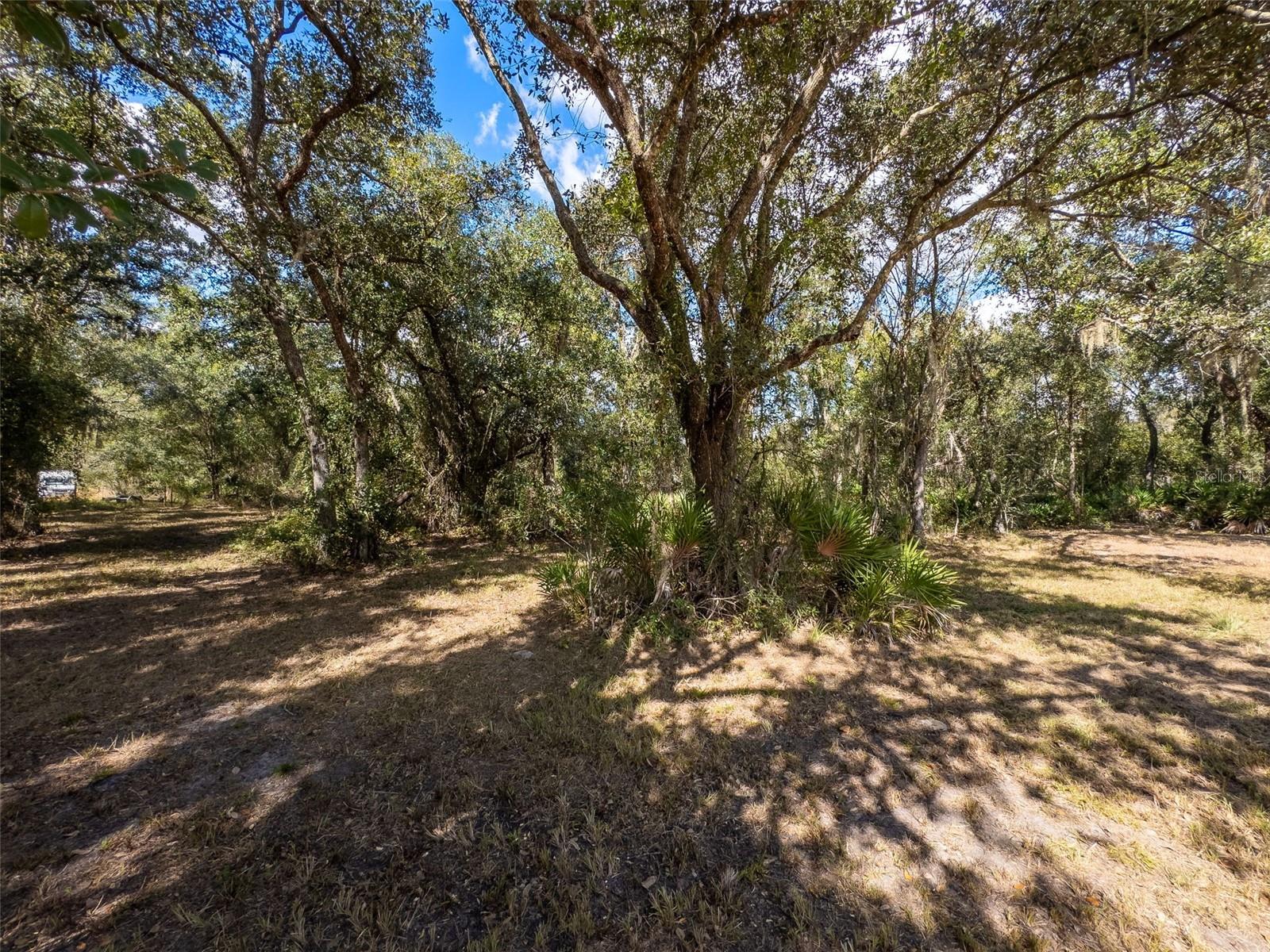 C C MORGANS PRAIRIE PARK ADD/FT - Land