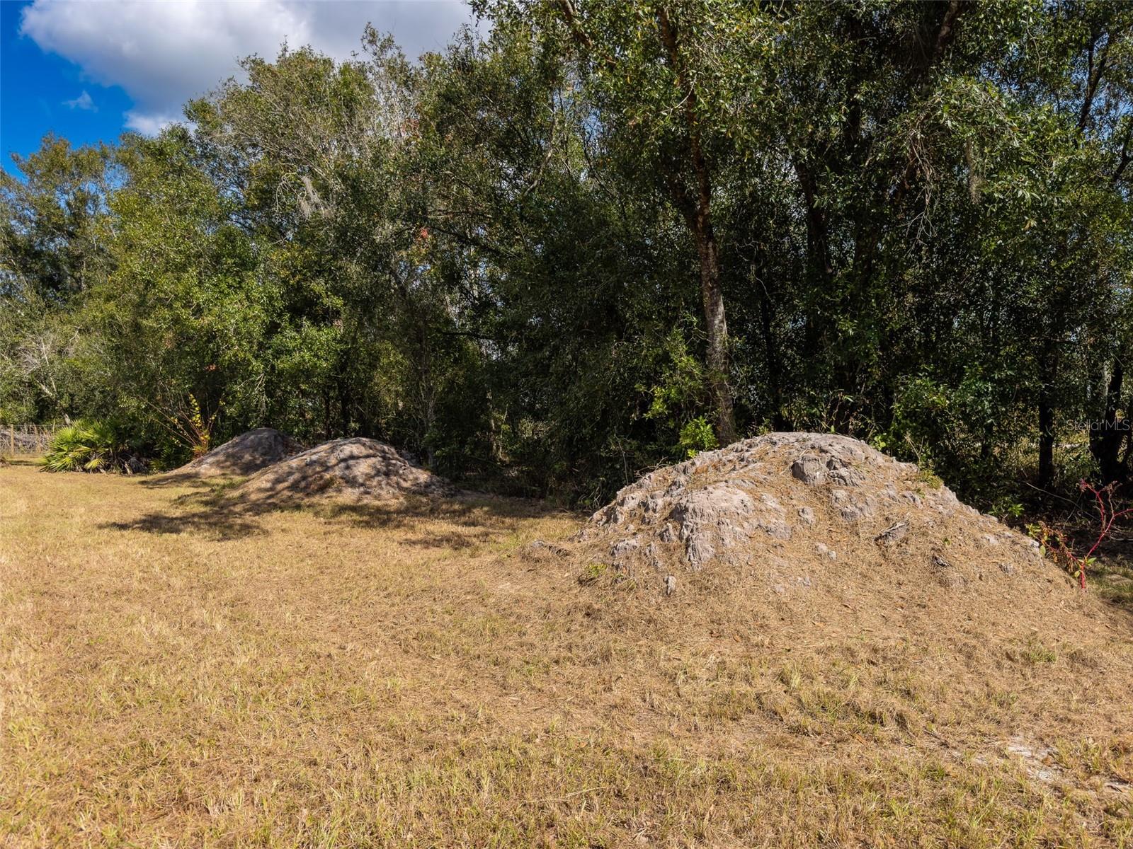 C C MORGANS PRAIRIE PARK ADD/FT - Land