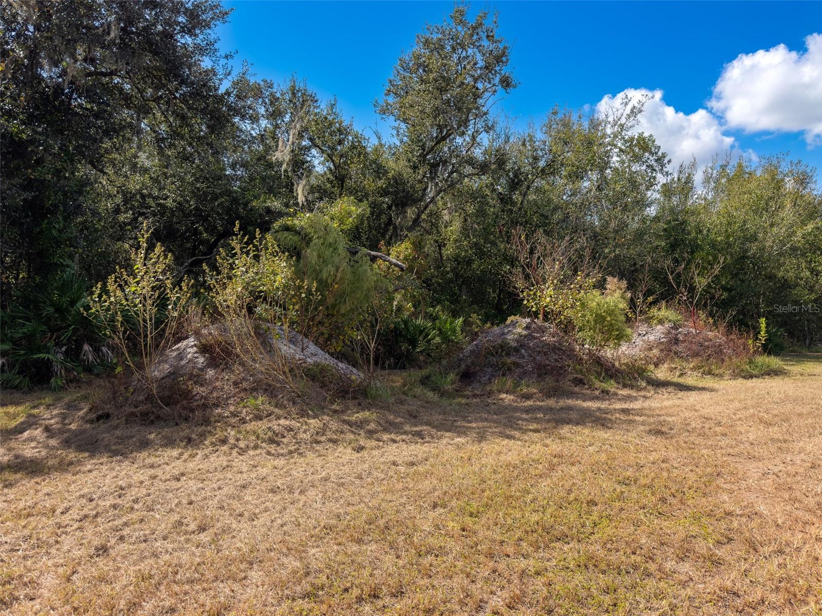 C C MORGANS PRAIRIE PARK ADD/FT - Land