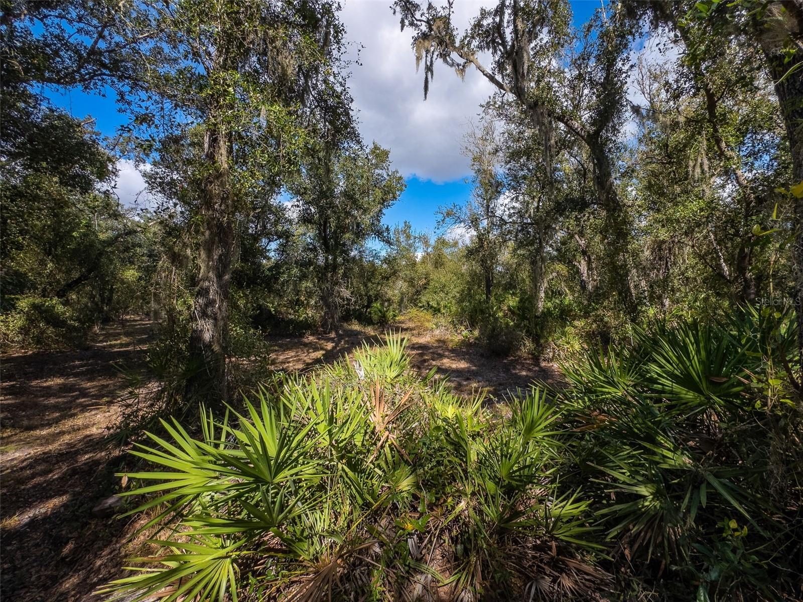 C C MORGANS PRAIRIE PARK ADD/FT - Land