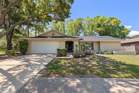 Single Family Residence in SAFETY HARBOR FL 3107 BLUE HERON STREET.jpg