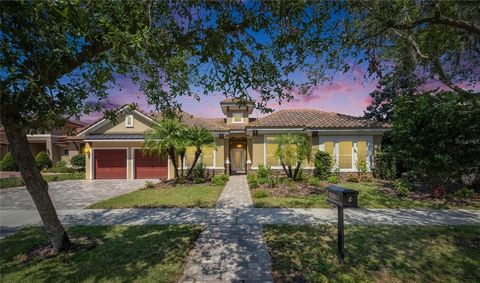 5316 CANDLER VIEW DRIVE LITHIA FL 33547