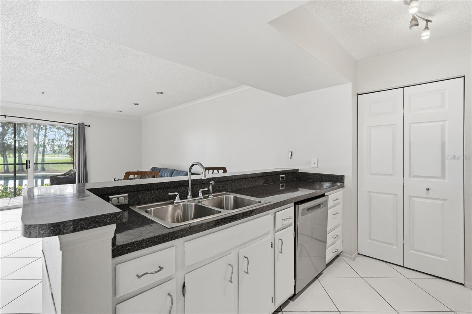 AUDUBON CONDO AT FEATHER SOUND - Residential