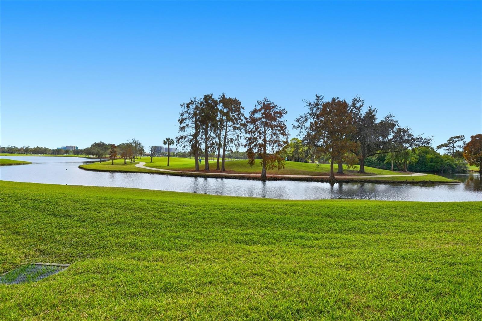 AUDUBON CONDO AT FEATHER SOUND - Residential