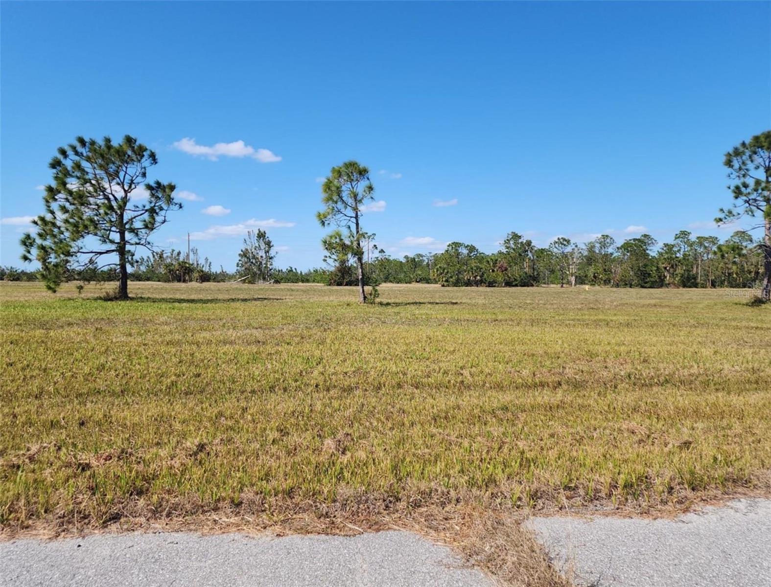 Welcome to Rotonda Villas. This undeveloped area of Charlotte County has power lines ran on most of the main roads now. Get in on the ground floor before the properties are all gone, or the prices rise. It is a deed restricted area. What makes this lot so great? It is 10 minutes from Boca Grande Beach, around 1/2 hour to Englewood, Manasota, Stump Pass, and Blind Pass (Middle Beach). It is near shopping, art centers, and 45 minutes from downtown Punta Gorda and the Punta Gorda airport. Do you say you like fishing? Welcome to the Tarpon Fishing Capitol of the World. Boca Grande is famous for Tarpon Fishing. Charlotte Harbor--redfish, snapper, grouper and so much more can be fished. Did you say you like spring training baseball? The Atlanta Braves spring training camp is about 45 minutes to North Port/Venice Cool Park Stadium. Lot is not in a scrub jay area and water and sewer is available for hook up. Electric poles are on Barracuda.
