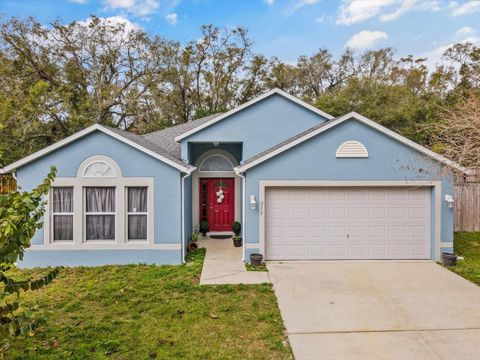 971 CASCADES PARK TRAIL DELAND FL 32720