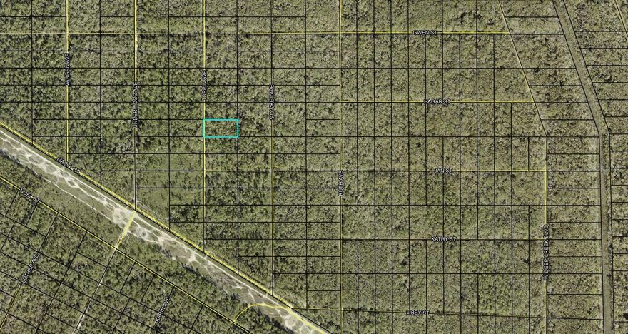 Here is your opportunity to own 1.14 acres in Flagler Estates located in Flagler County, Florida!