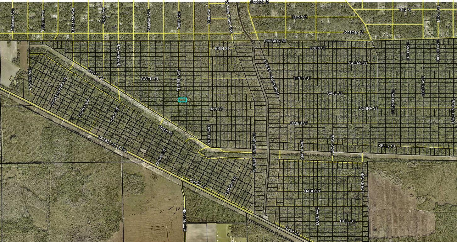 FLAGLER ESTATE - Land