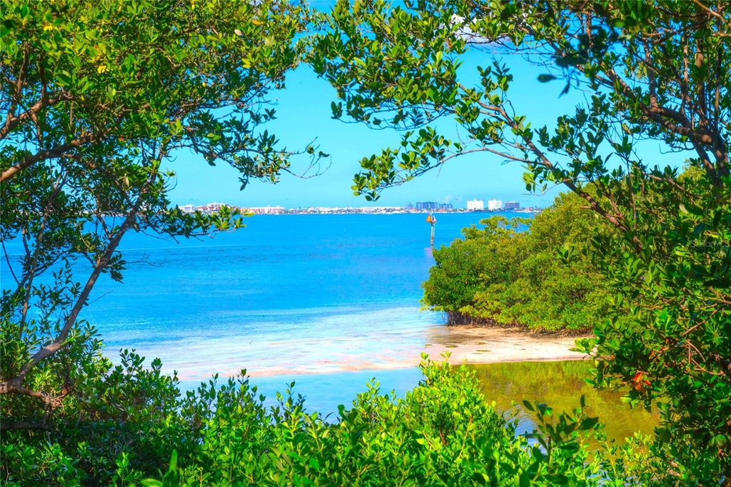 Photo of 4603 Osprey Drive S, St Petersburg, FL 33711 (MLS # TB8418745)