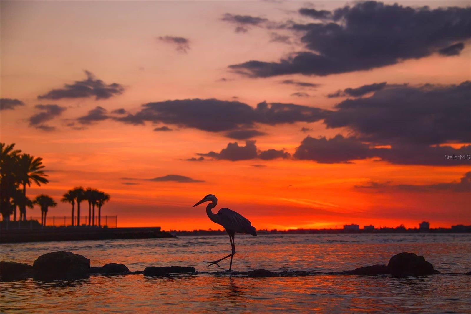 BOUWMAN SUB REP - Residential