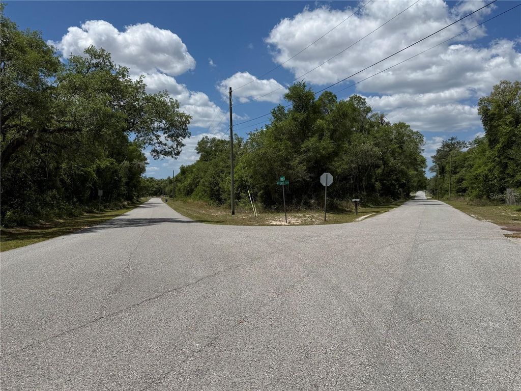 Photo of Lewis Lane, Webster, FL 33597 (MLS # W7885544)