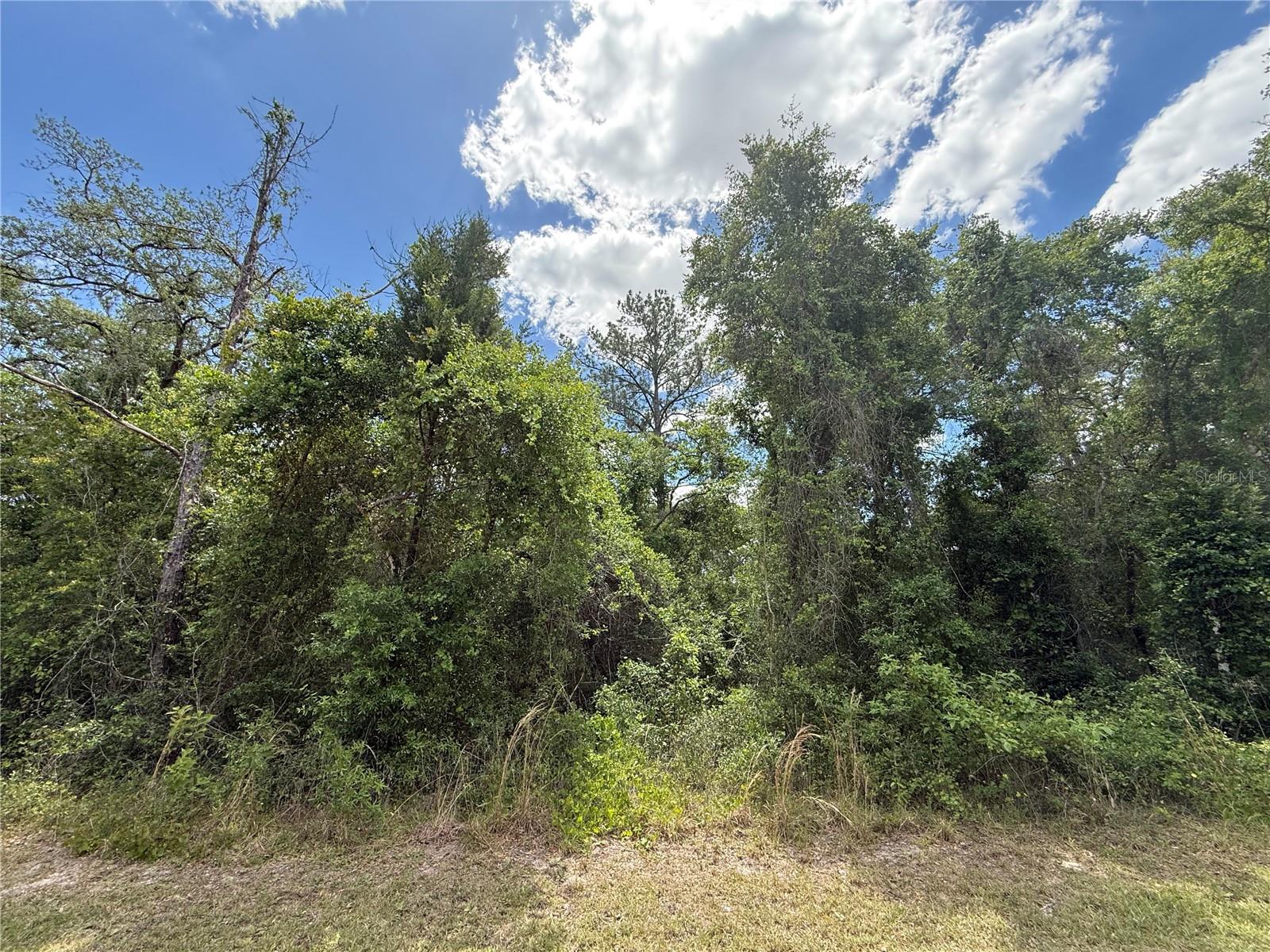 RIDGE MANOR ESTATE - Land