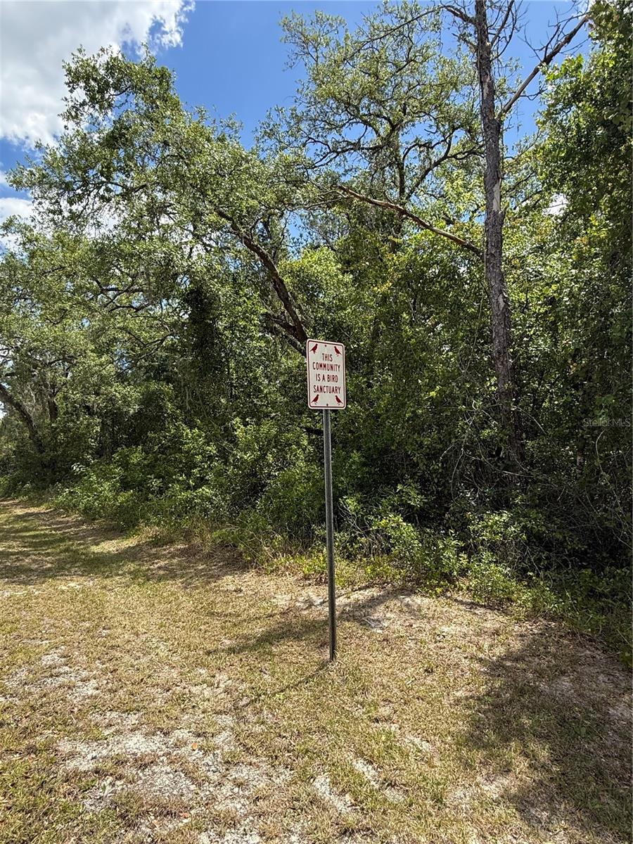 RIDGE MANOR ESTATE - Land