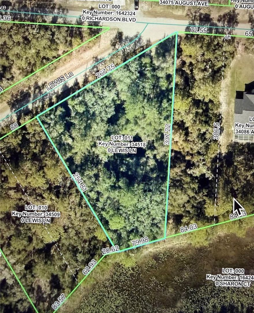 Discover the perfect opportunity to own 1 ACRE of WATERFRONT PROPERTY in Eastern Hernando County within a growing community! This wooded parcel offers a peaceful natural setting with plenty of privacy and potential for your future homesite or investment. Situated on a paved road, the property provides convenient access to both Highway 50 and US-301, making commuting to surrounding areas simple and convenient. Enjoy the beauty of nature, waterfront views, and the tranquility of country living while still being close to shopping, dining, and everyday amenities.