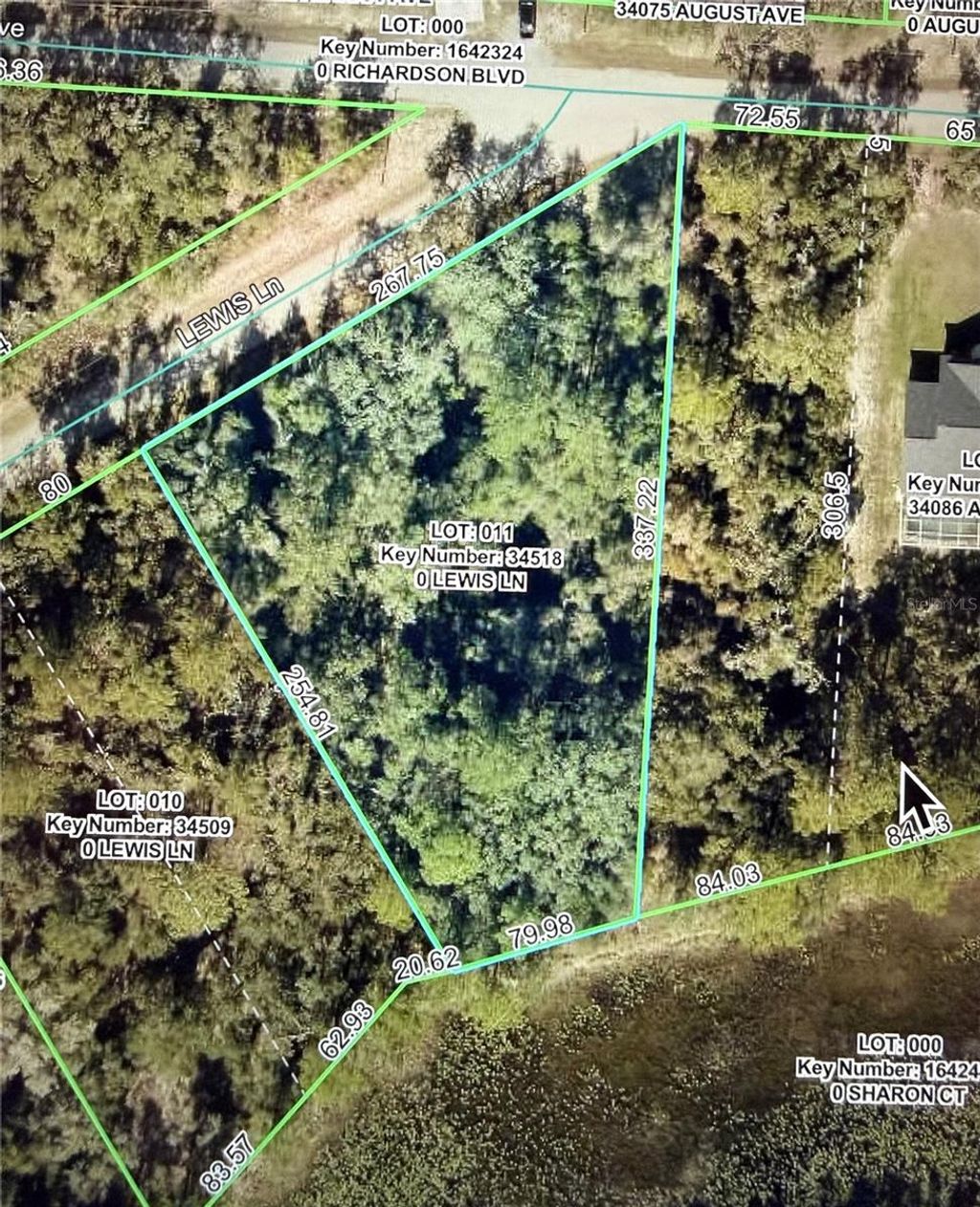 Photo of Lewis Lane, Webster, FL 33597 (MLS # W7885544)