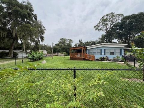 A home in LAKE PANASOFFKEE