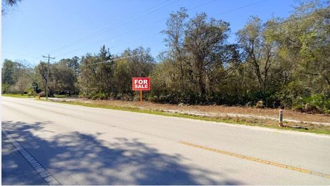 Tiny photo for Tbd Corner Lot 175th Street Road NE, Citra, FL 32113 (MLS # A4688331)