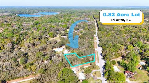 TBD CORNER LOT 175TH STREET ROAD NE CITRA FL 32113