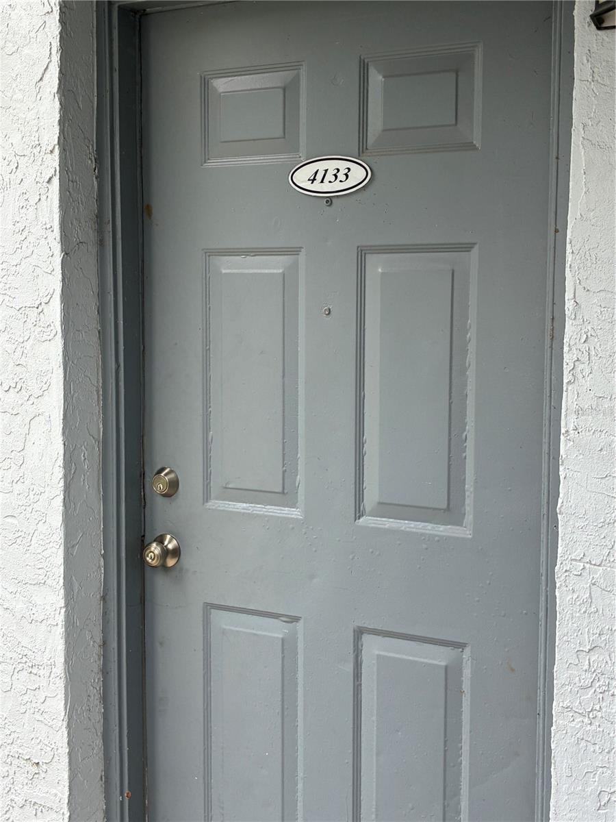 4133 DOLPHIN DRIVE 4133