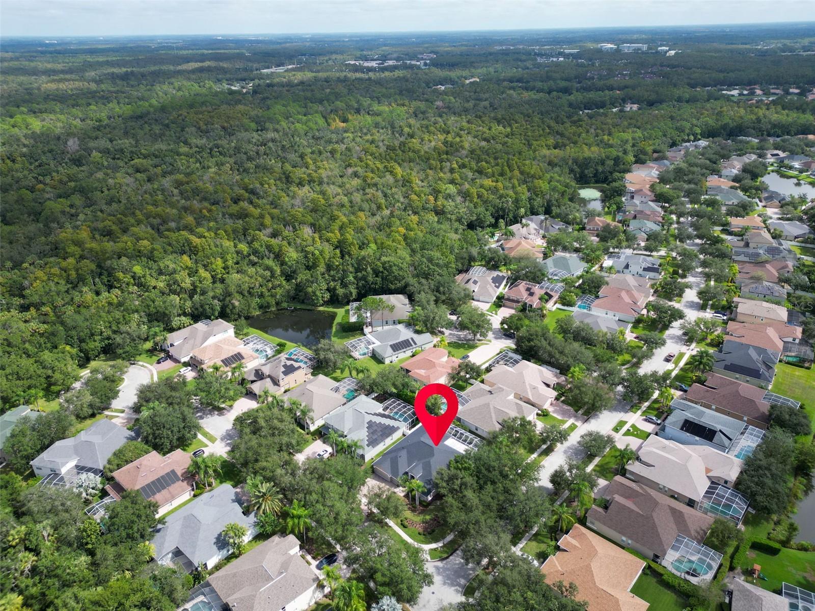 TAMPA PALMS AREA 4 PRCL 20 - Residential