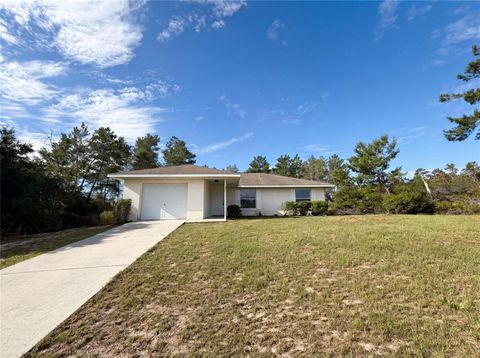 Photo of 17956 SW 25th Avenue Road, Ocala, FL 34473 (MLS # O6419744)