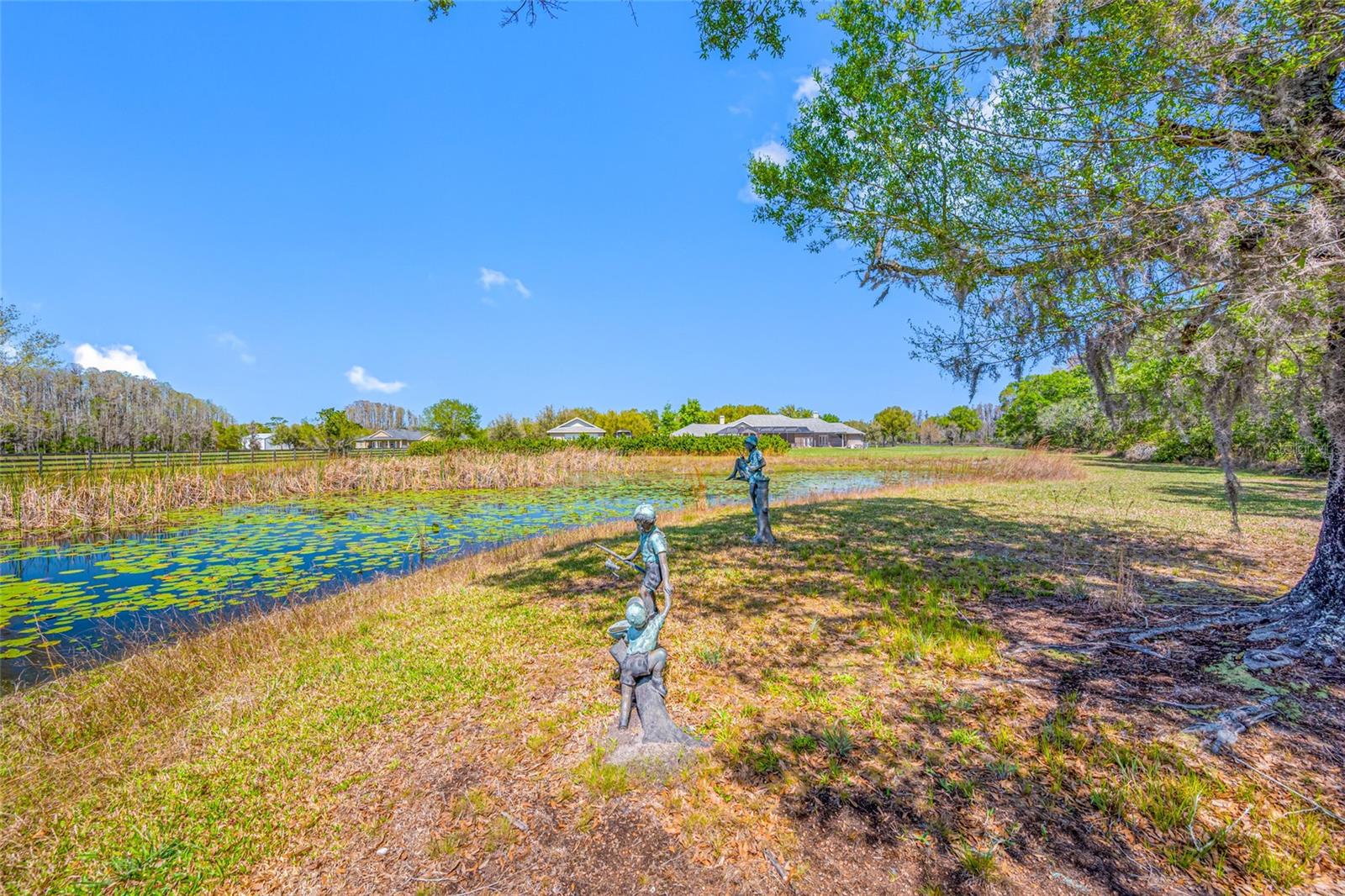PASCO TRAILS - Residential
