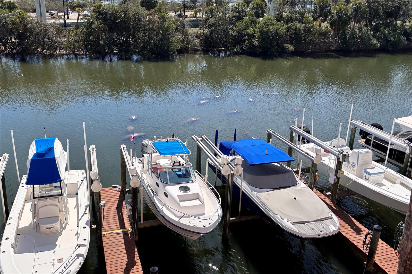 CULBREATH KEY BAYSIDE CONDOMIN - Residential