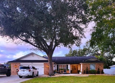 Photo of 338 Lafayette Boulevard, Oldsmar, FL 34677 (MLS # O6384927)