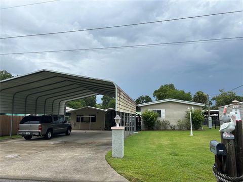 24505 SNAIL ROAD ASTOR FL 32102