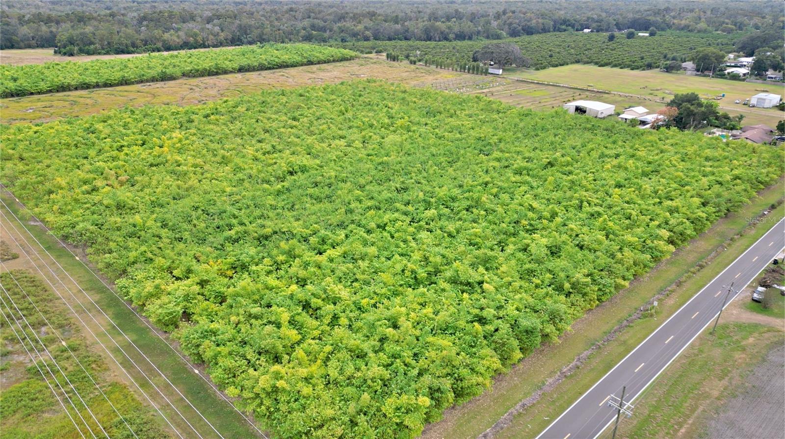 1015 MOUNT PISGAH ROAD