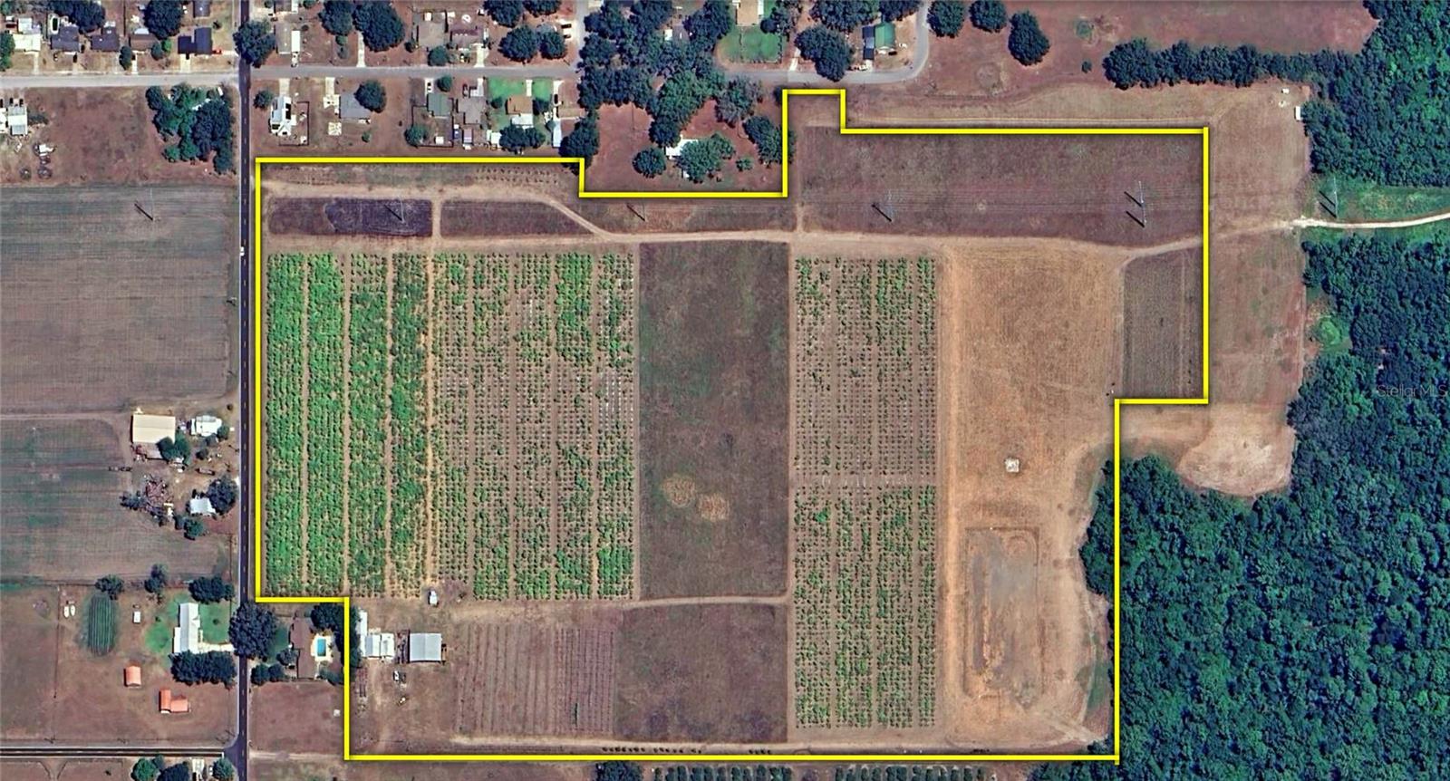 1015 MOUNT PISGAH ROAD