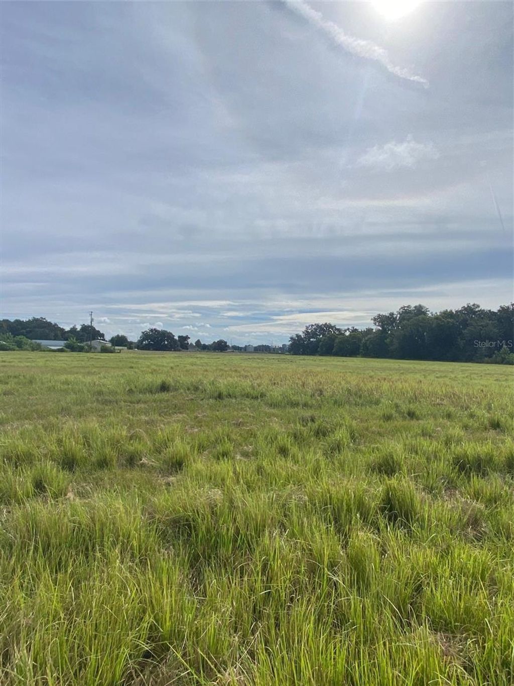 Photo of 2908 S Wiggins Road, Plant City, FL 33566 (MLS # TB8432419)