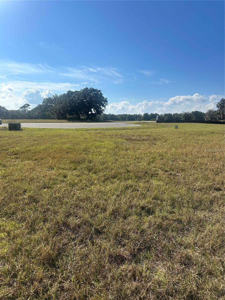 38553 WOODED MEADOW DRIVE