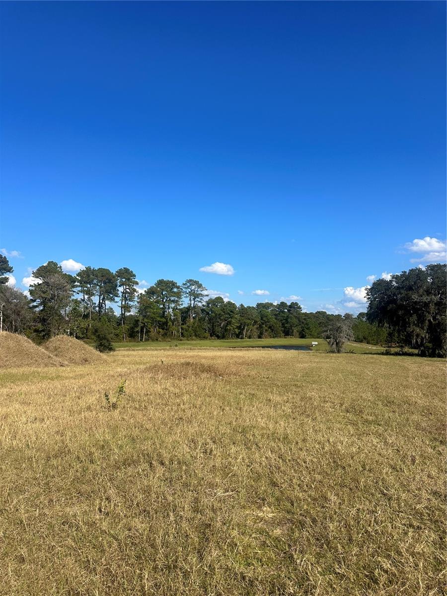 38553 WOODED MEADOW DRIVE