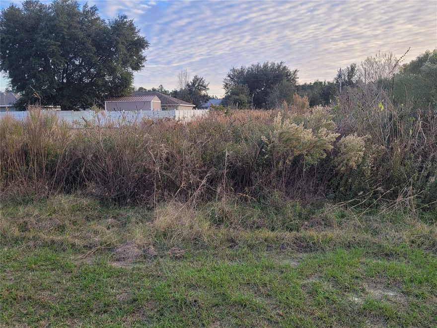 Nice Lot to build your dream on. Marion Oaks is a PUD with NO HOA fees. Residents enjoy a library, gym, playground, tennis courts, basketball courts, shuffle board, community center with various activities for the family! Grocery store, convenience store, doctors offices, Dry Cleaner, Insurance office, Fire Department, Elementary School inside the community and more. The Florida Turnpike is about 5 miles away.