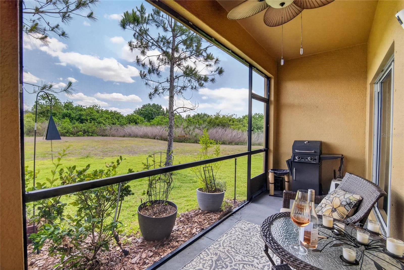 SUMMERFIELD CROSSINGS VILLAGE - Residential