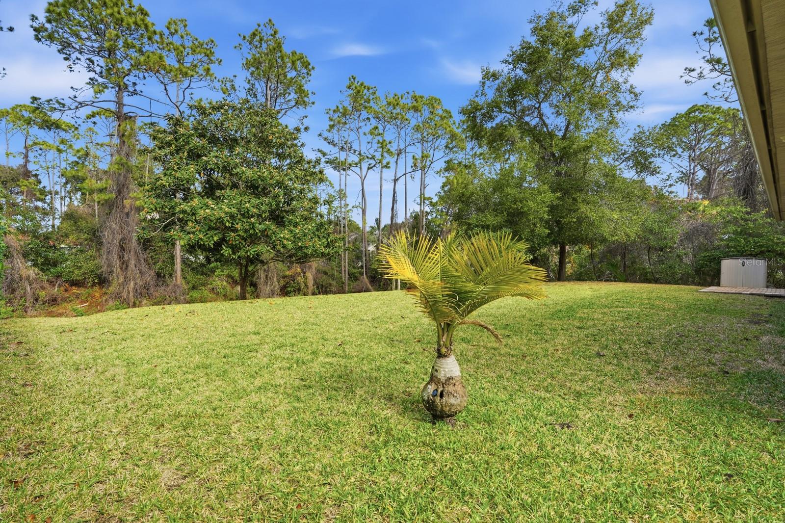 PALM COAST SEC 27 BLK 58 & 59 - Residential