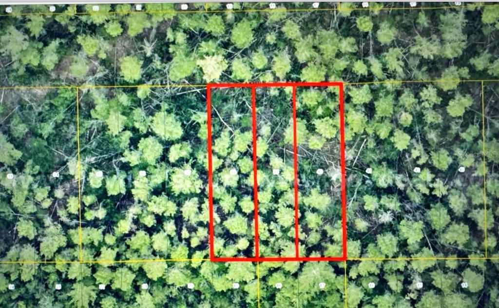 Photo of 1 Werley Trail, Deland, FL 32720 (MLS # TB8455077)