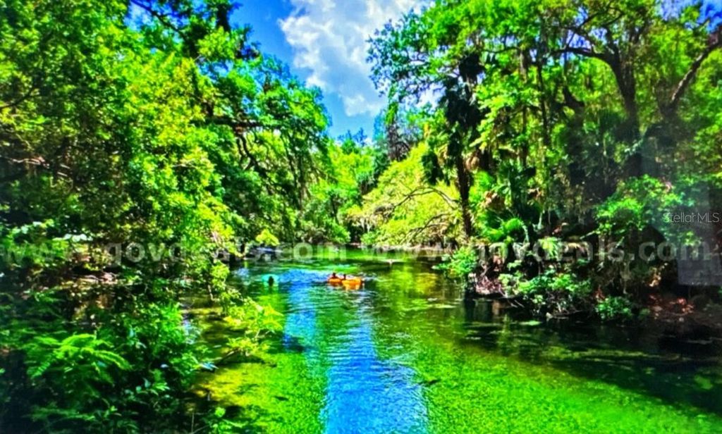 Photo of 1 Werley Trail, Deland, FL 32720 (MLS # TB8455077)