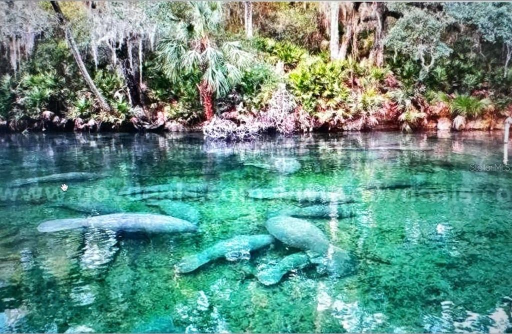 Photo of 1 Werley Trail, Deland, FL 32720 (MLS # TB8455077)