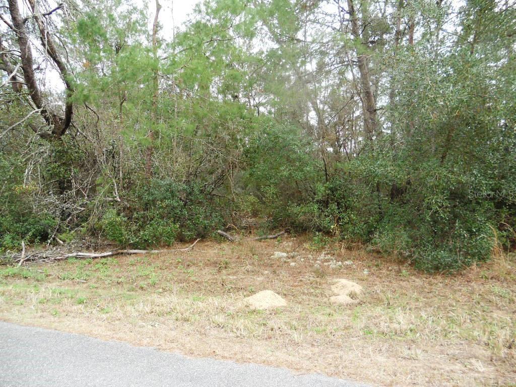 CITRUS SPGS UNIT 10 - Land