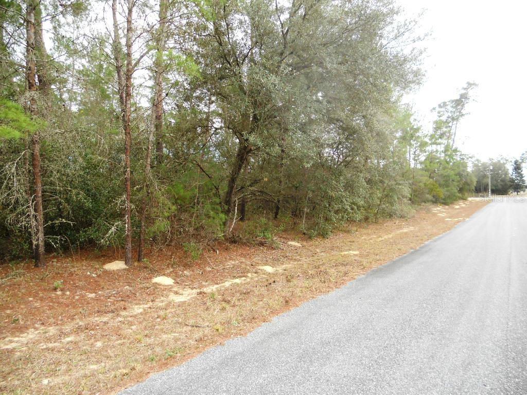 CITRUS SPGS UNIT 10 - Land