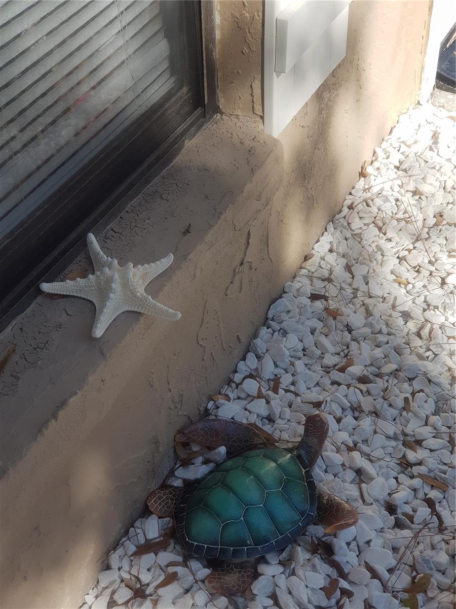 BUCKEYE MANOR - Residential Income